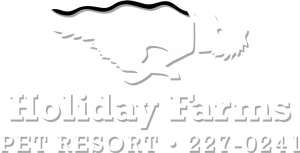 Holiday Farms