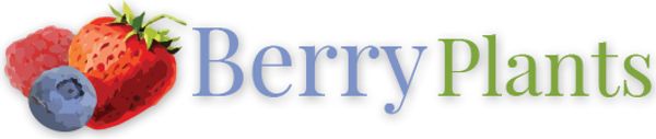 Krieger's Wholesale Nursery