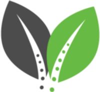 Superior Seed