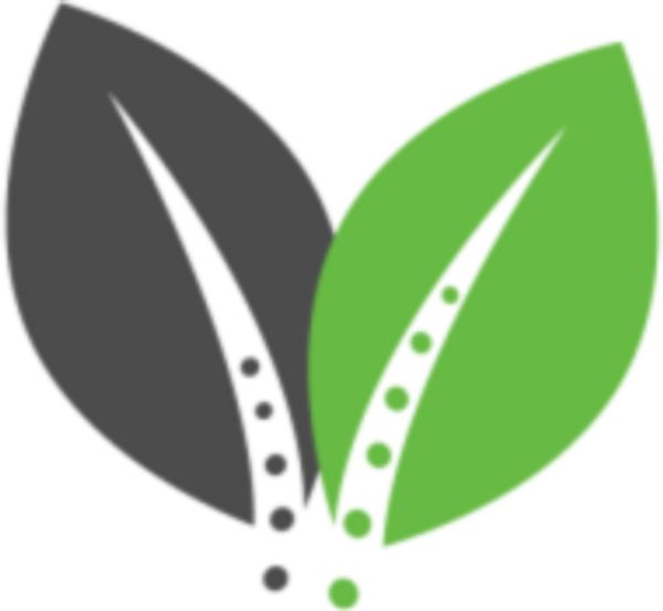 Superior Seed