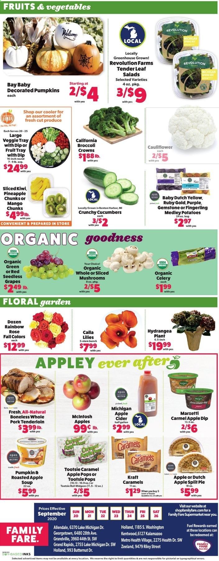Family Fare Weekly Ad Flyer September 20 to September 26