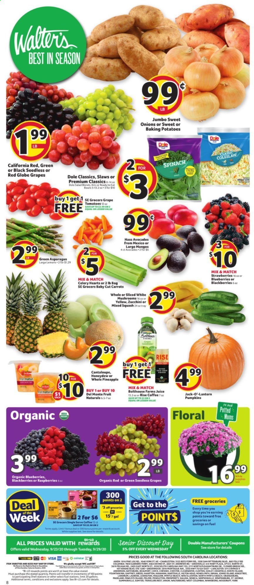 BI-LO Weekly Ad Flyer September 23 to September 29