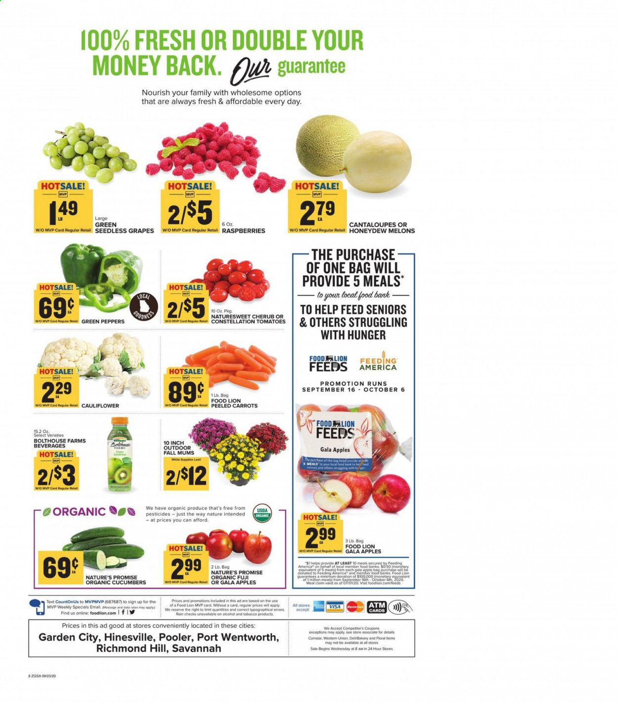 Food Lion (GA) Weekly Ad Flyer September 23 to September 29