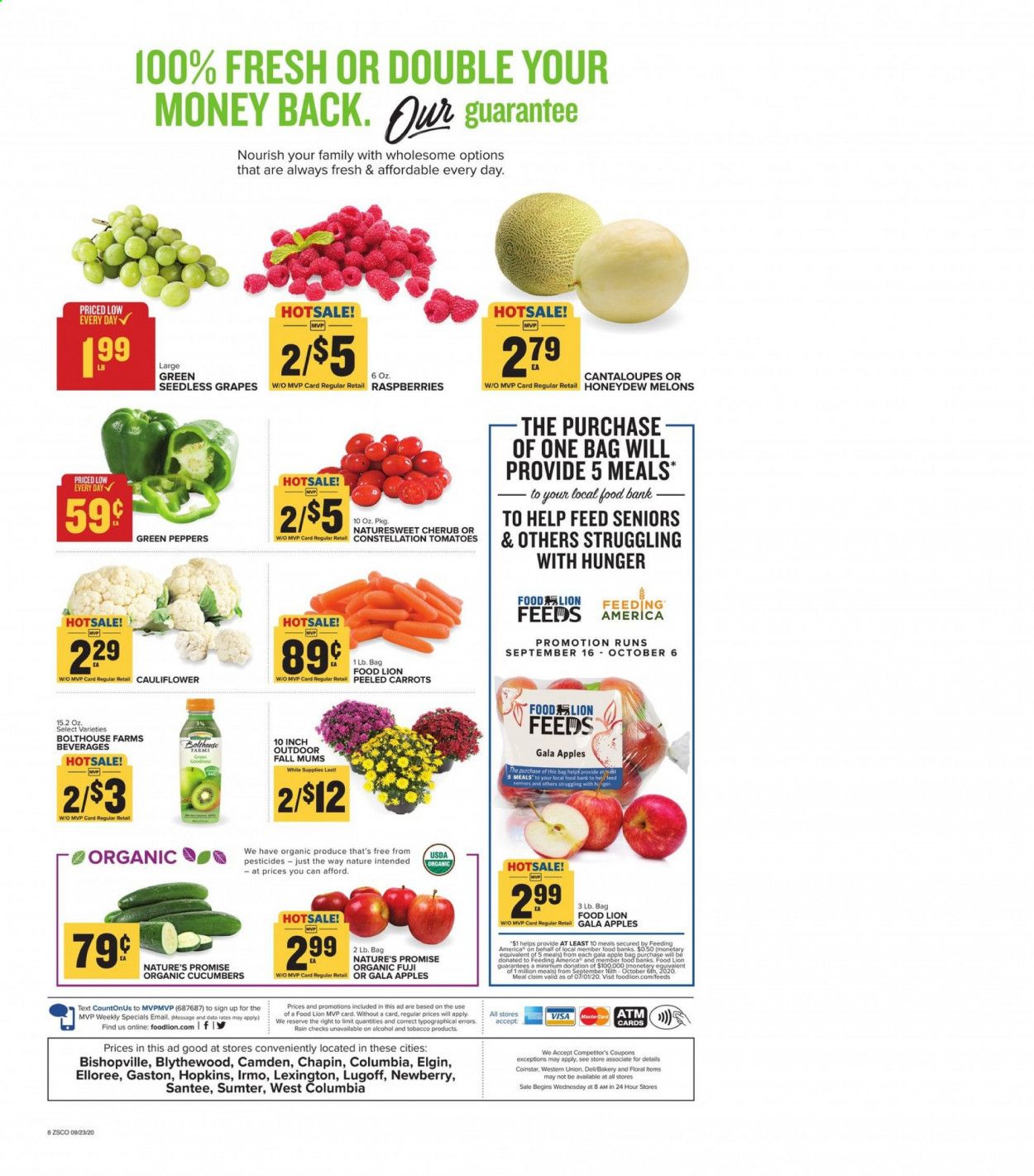 Food Lion (SC) Weekly Ad Flyer September 23 to September 29