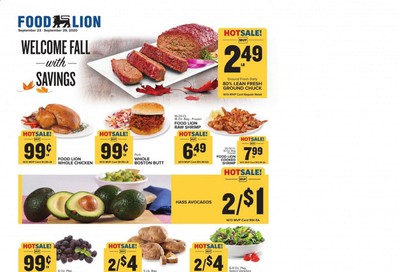 Food Lion (VA) Weekly Ad Flyer September 23 to September 29