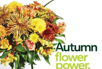Publix Weekly Ad Flyer September 24 to September 30