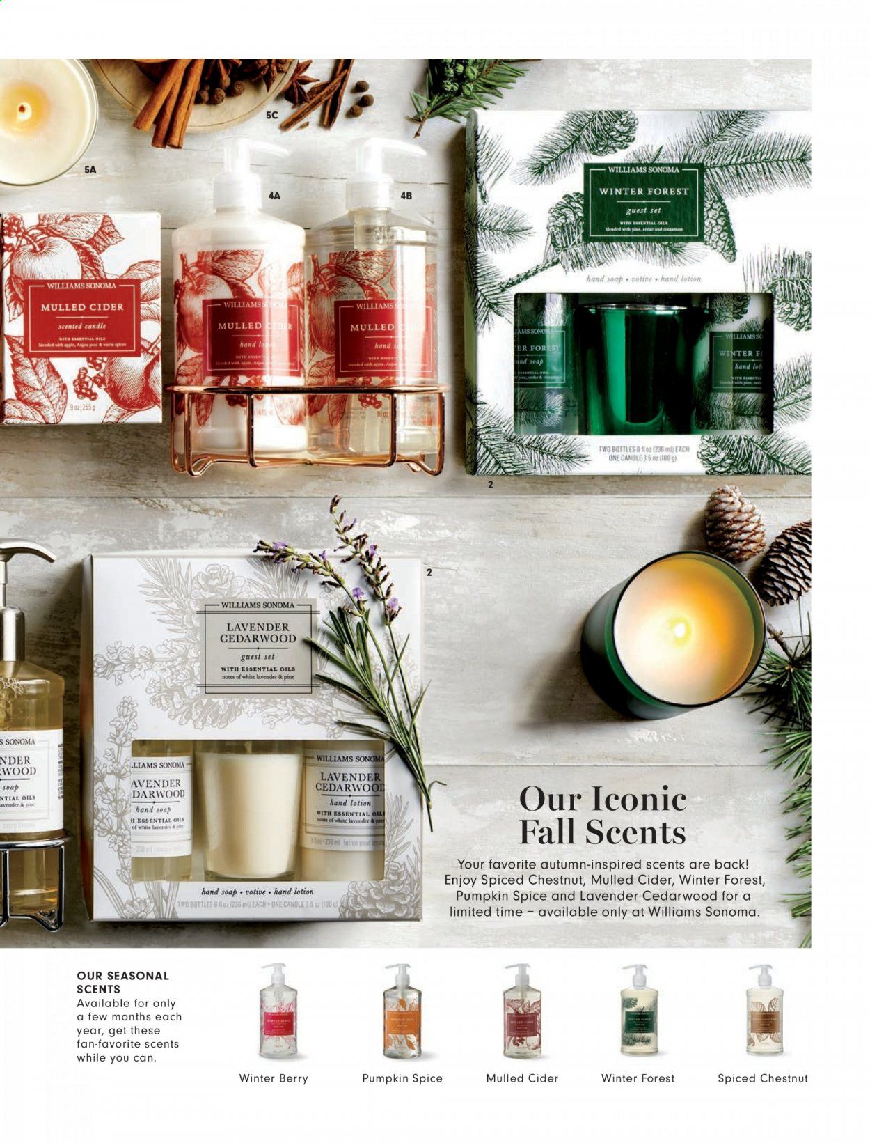 Williams-Sonoma Weekly Ad Flyer October 1 to October 31