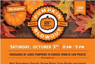 Festival Foods Weekly Ad Flyer September 30 to October 6