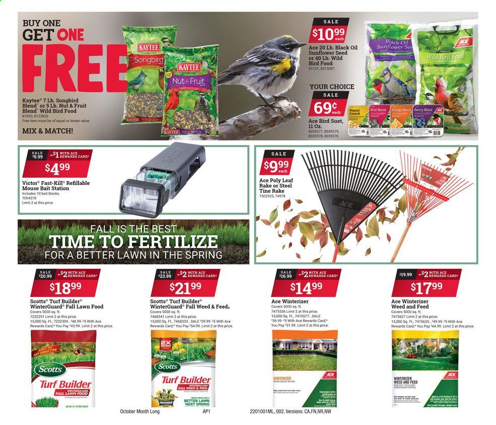 ACE Hardware Weekly Ad Flyer October 1 to October 31