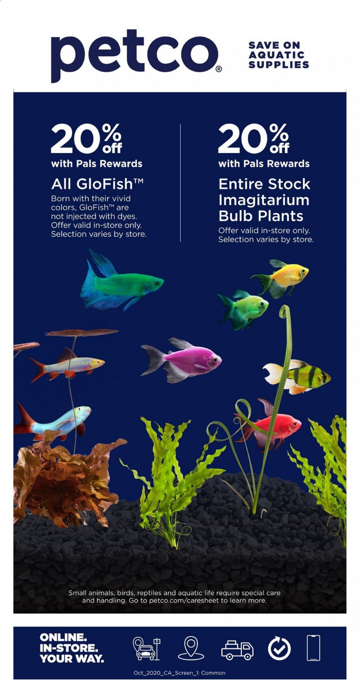 Petco Weekly Ad Flyer October 4 to October 31