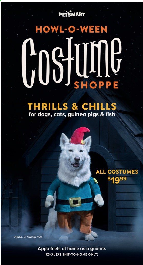 PetSmart Weekly Ad Flyer October 5 to November 1