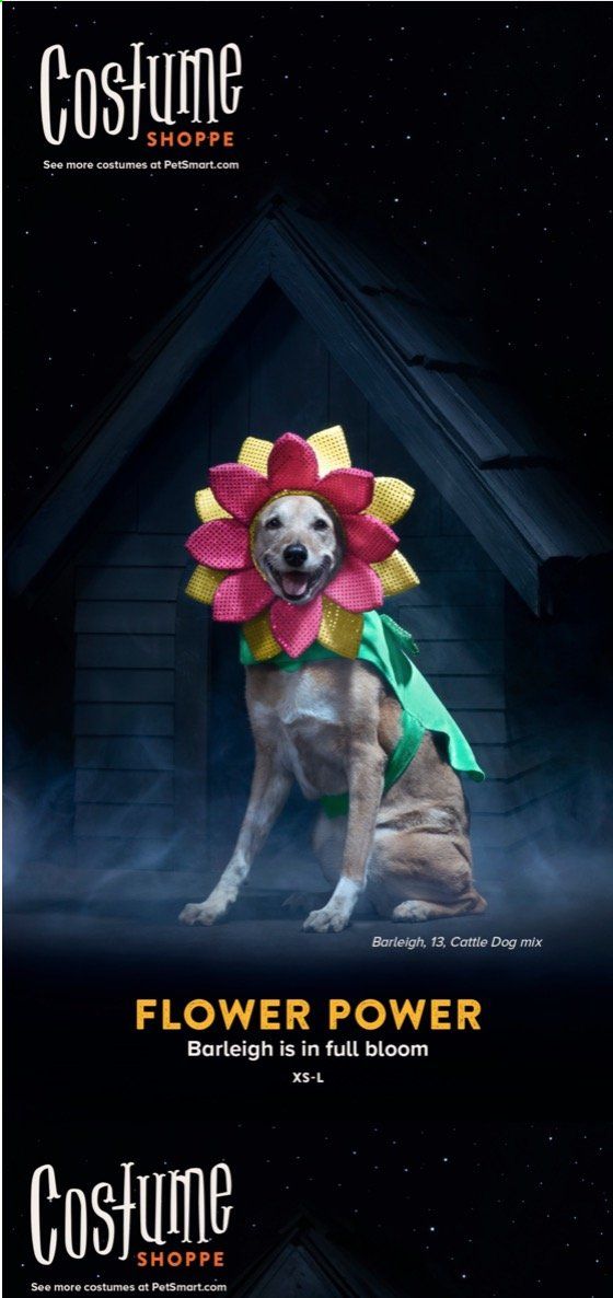PetSmart Weekly Ad Flyer October 5 to November 1
