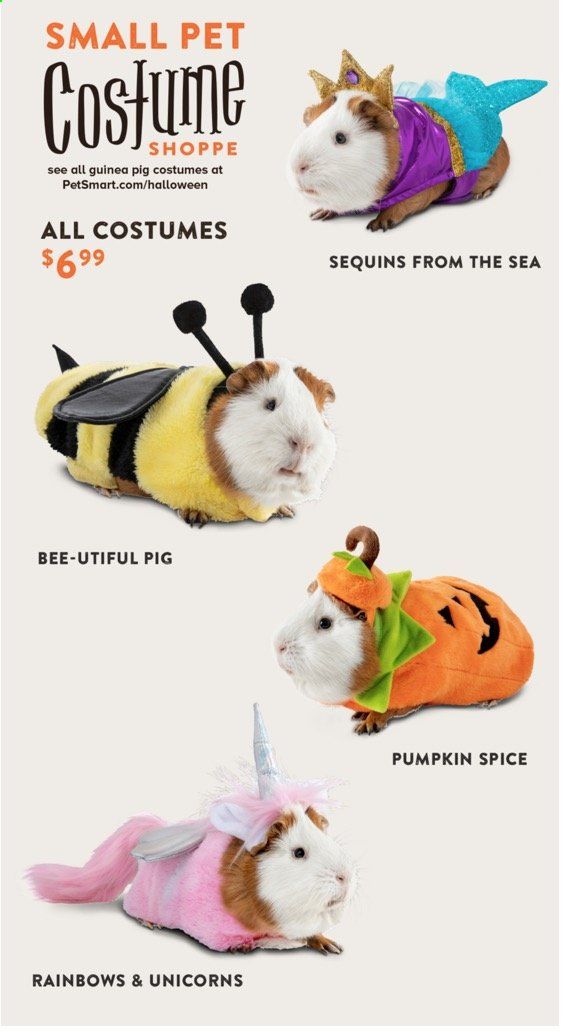 PetSmart Weekly Ad Flyer October 5 to November 1
