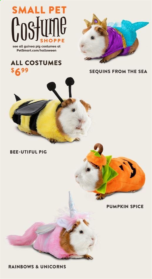 PetSmart Weekly Ad Flyer September 8 to November 1