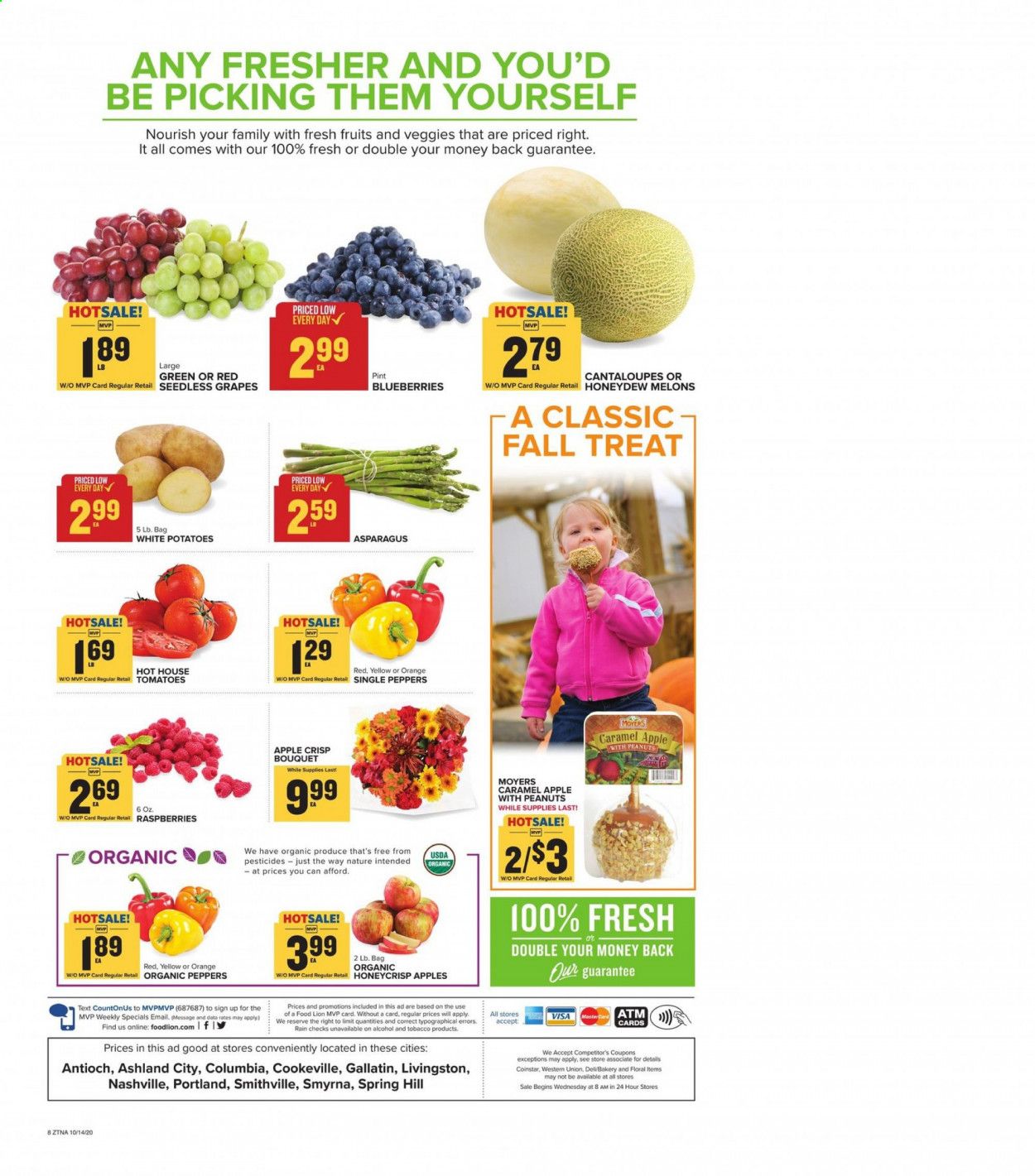 Food Lion (TN) Weekly Ad Flyer October 14 to October 20