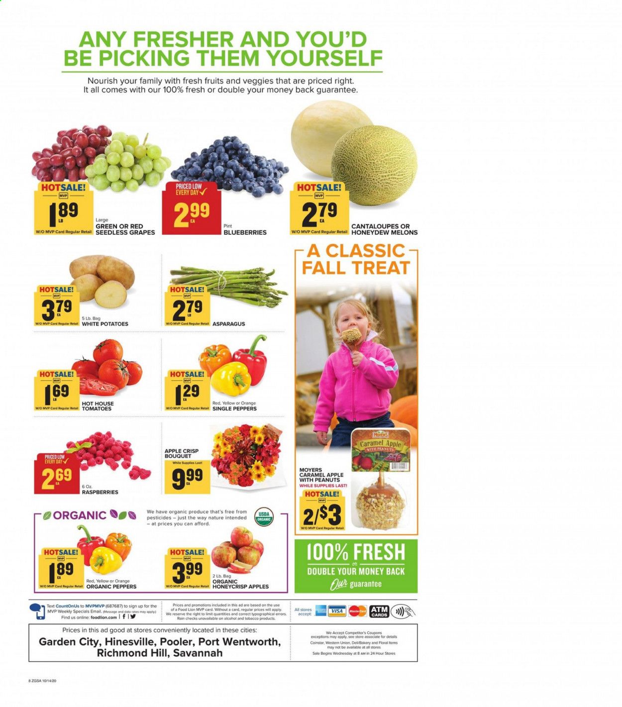 Food Lion (GA) Weekly Ad Flyer October 14 to October 20