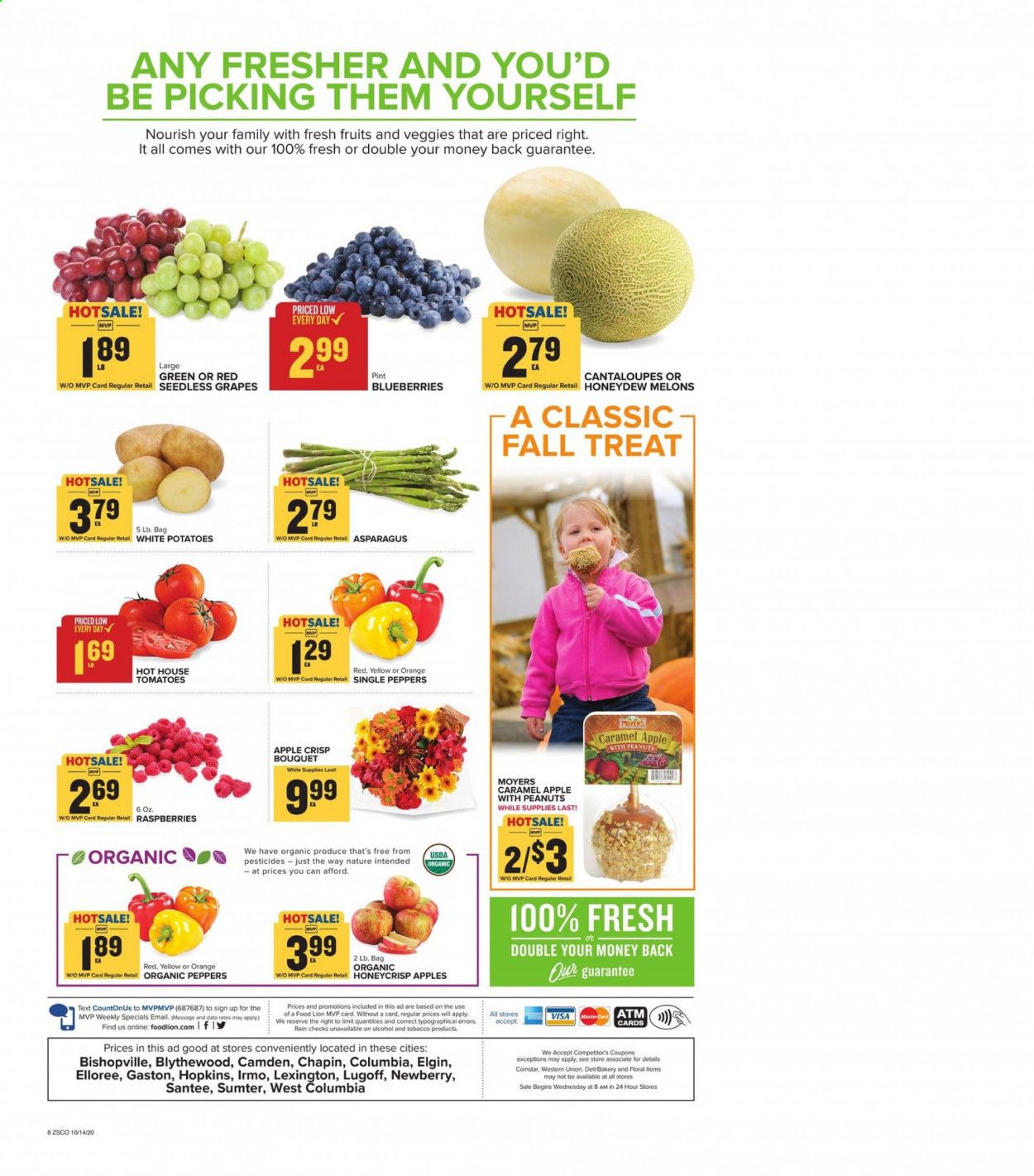 Food Lion (SC) Weekly Ad Flyer October 14 to October 20