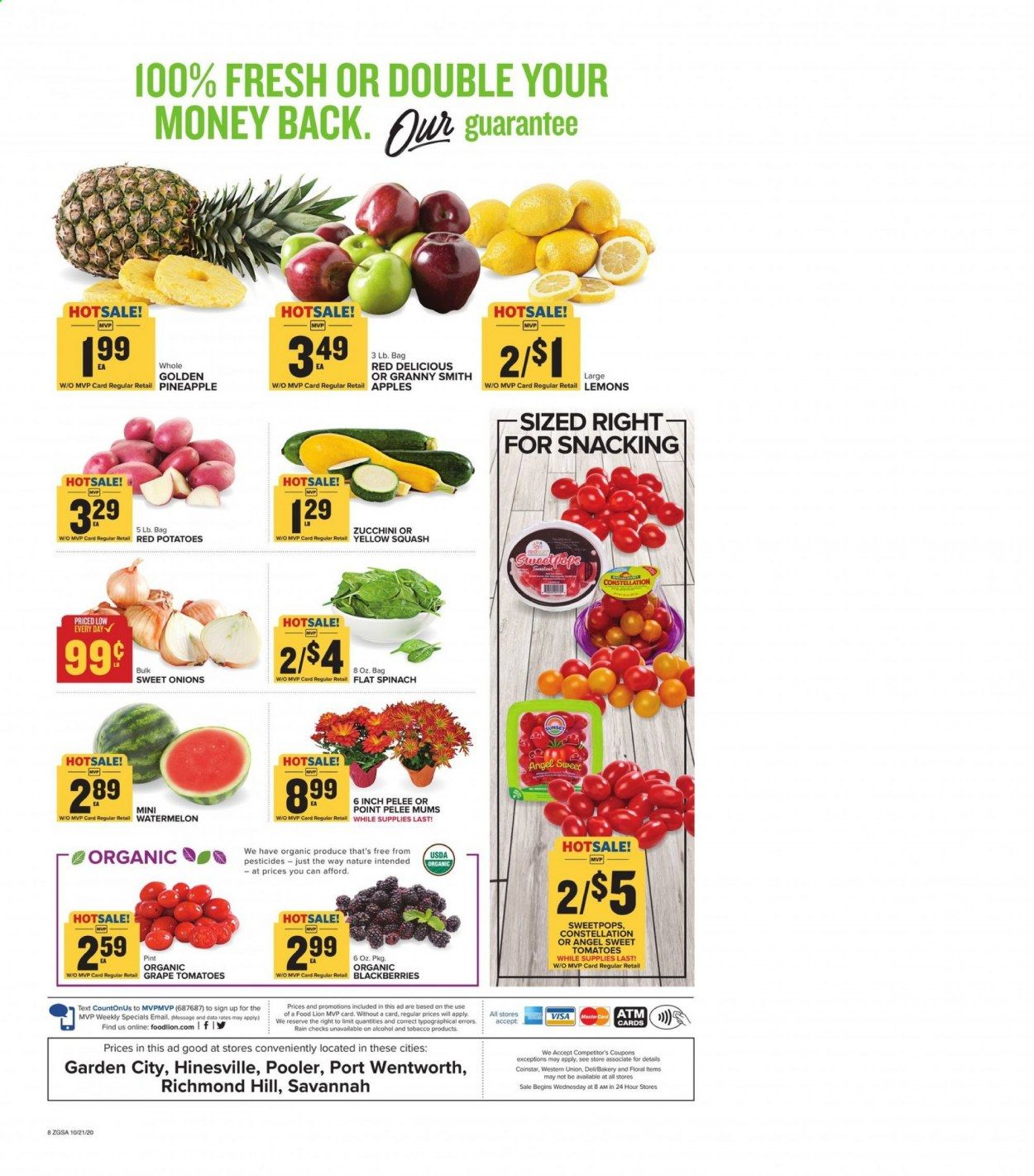 Food Lion (GA) Weekly Ad Flyer October 21 to October 27
