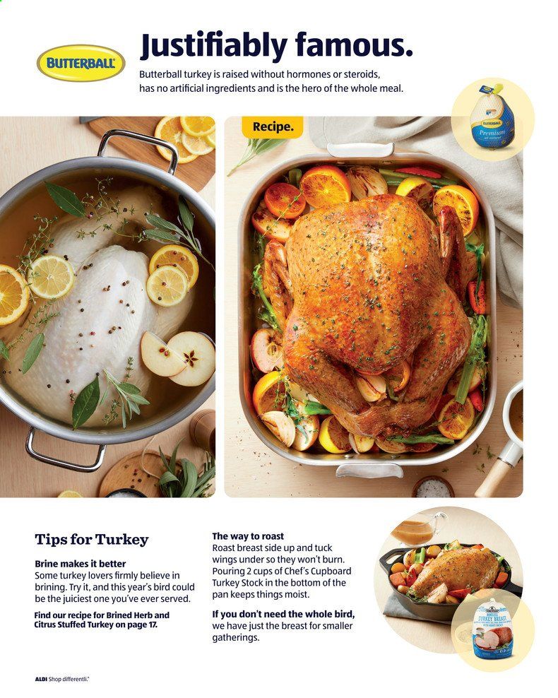 ALDI Weekly Ad Flyer October 21 to November 27