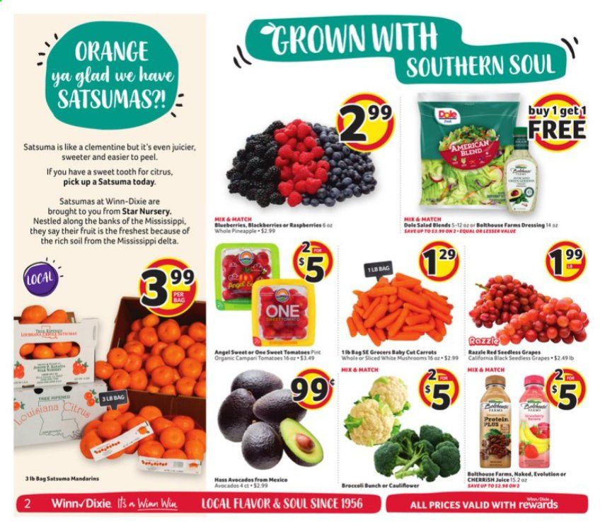 Winn Dixie (AL, FL, GA, LA, MS) Weekly Ad Flyer October 28 to November 3