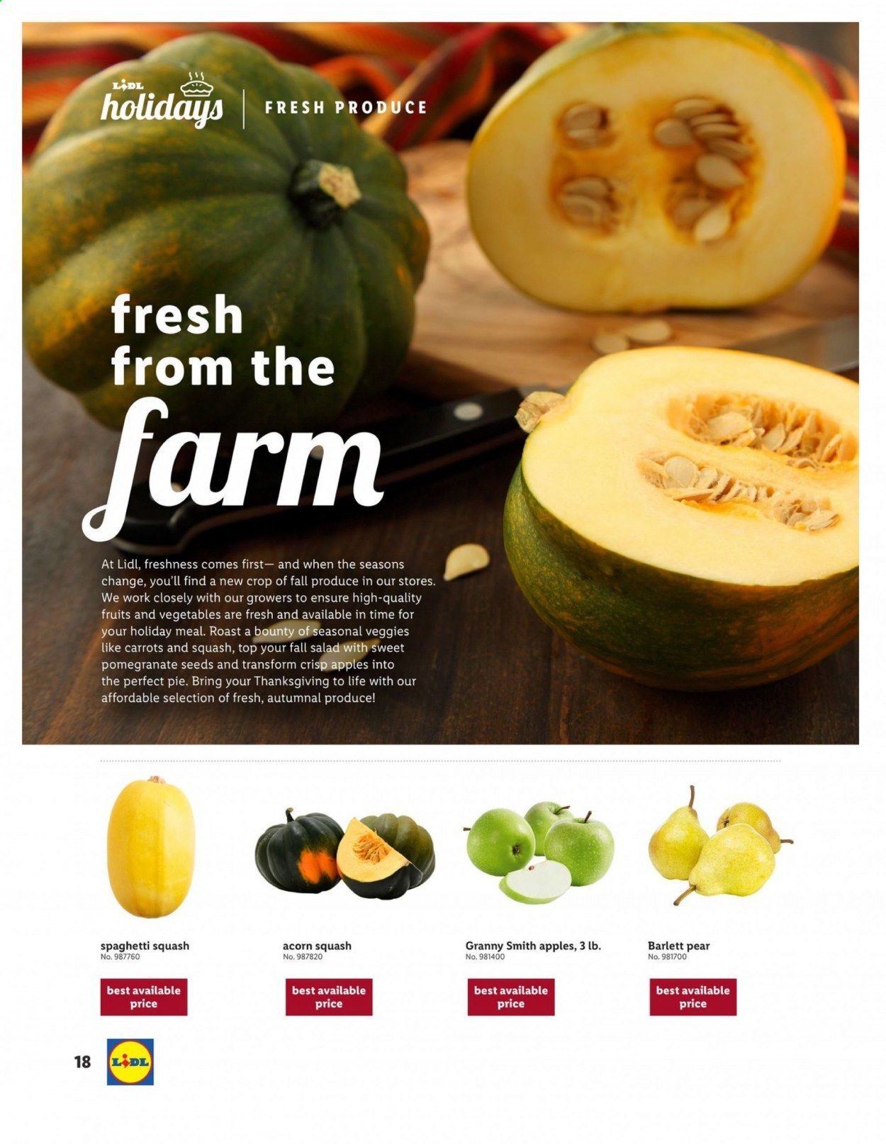 Lidl Weekly Ad Flyer October 28 to November 27