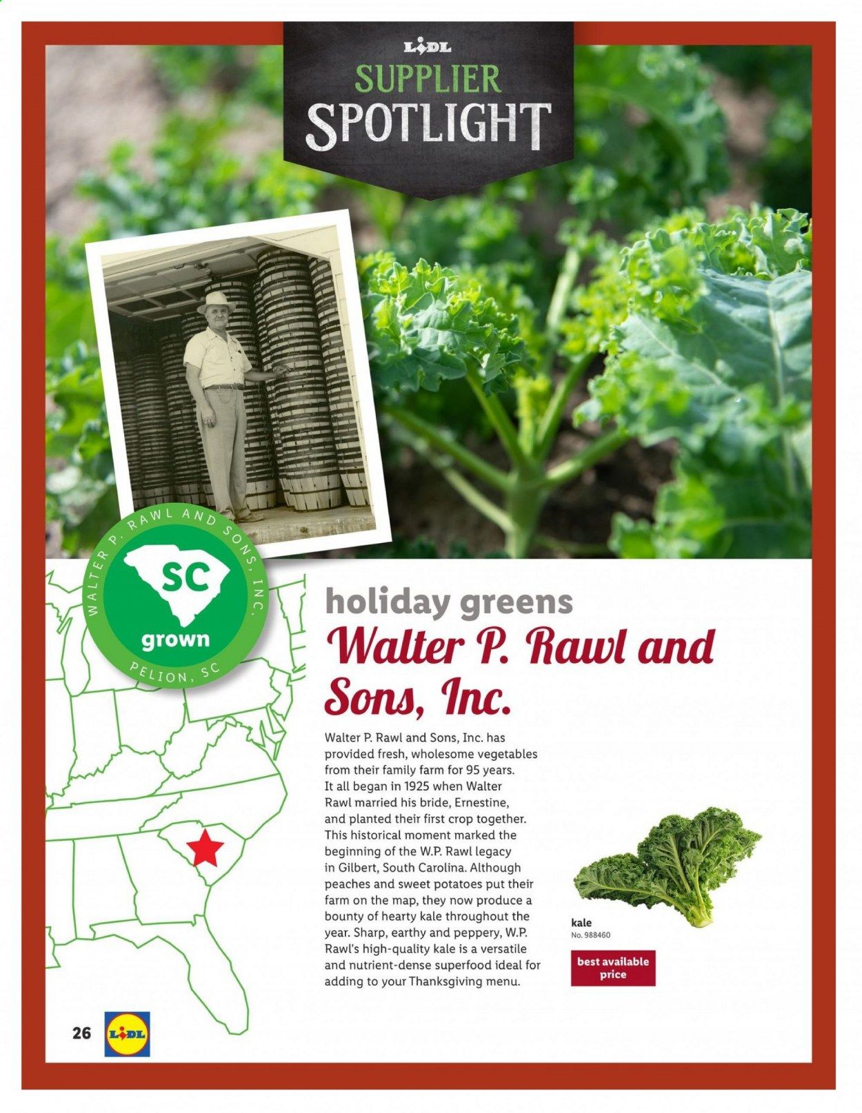 Lidl Weekly Ad Flyer October 28 to November 27