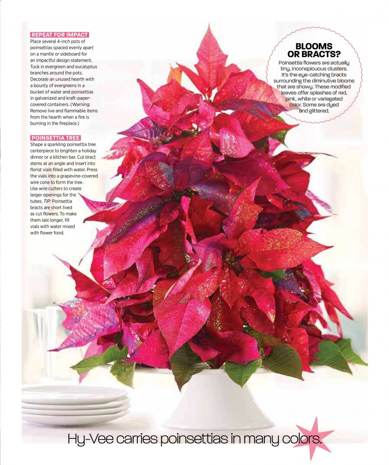 Hy-Vee (IA, IL, KS, MN, MO, NE, SD, WI) Weekly Ad Flyer November 1 to November 30