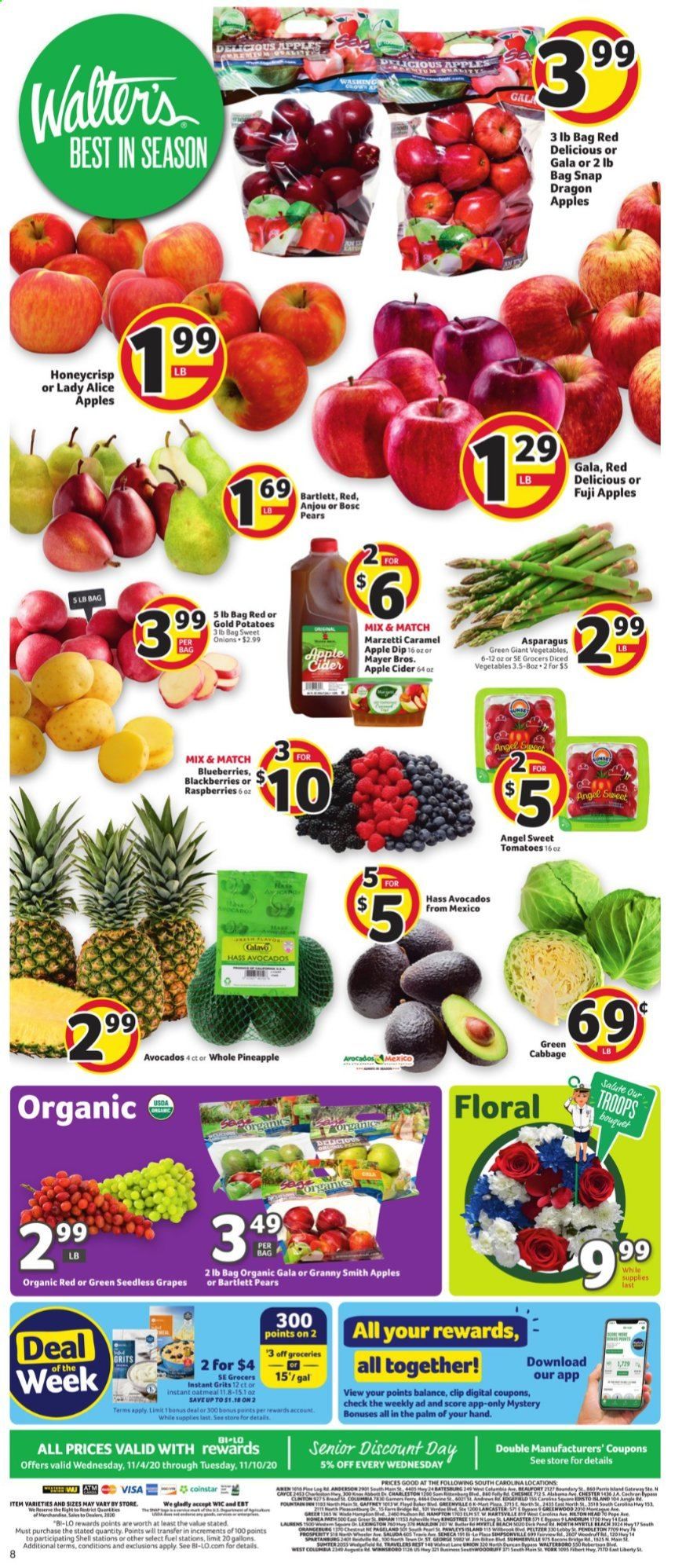 BI-LO Weekly Ad Flyer November 4 to November 10