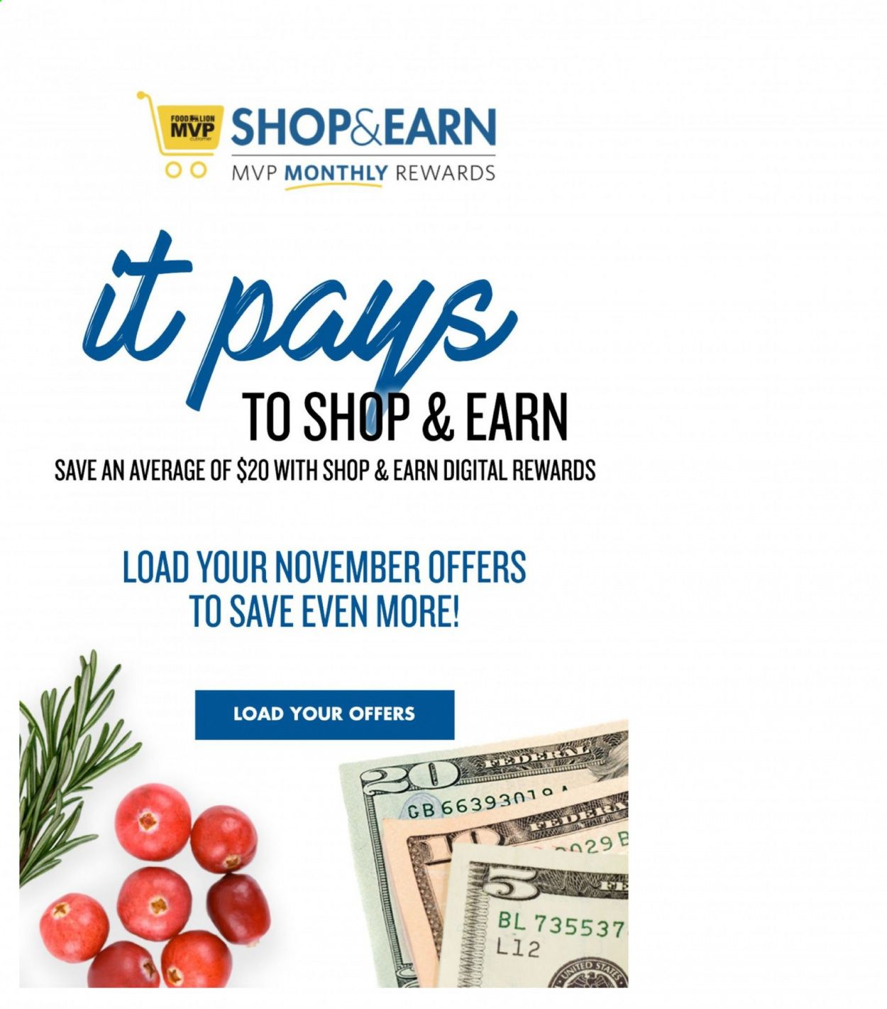 Food Lion (DE) Weekly Ad Flyer November 4 to November 10