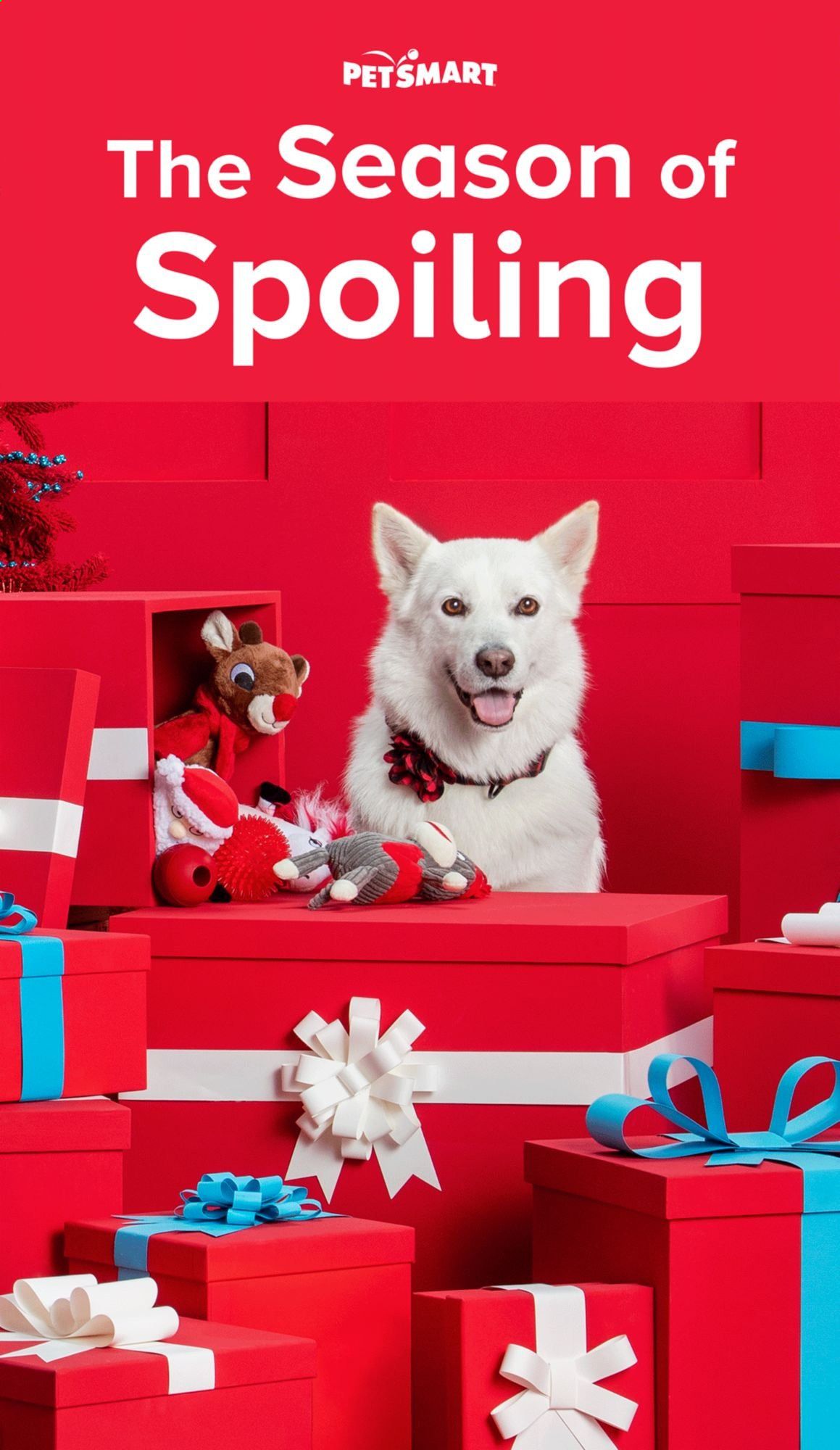 PetSmart Weekly Ad Flyer November 2 to December 27