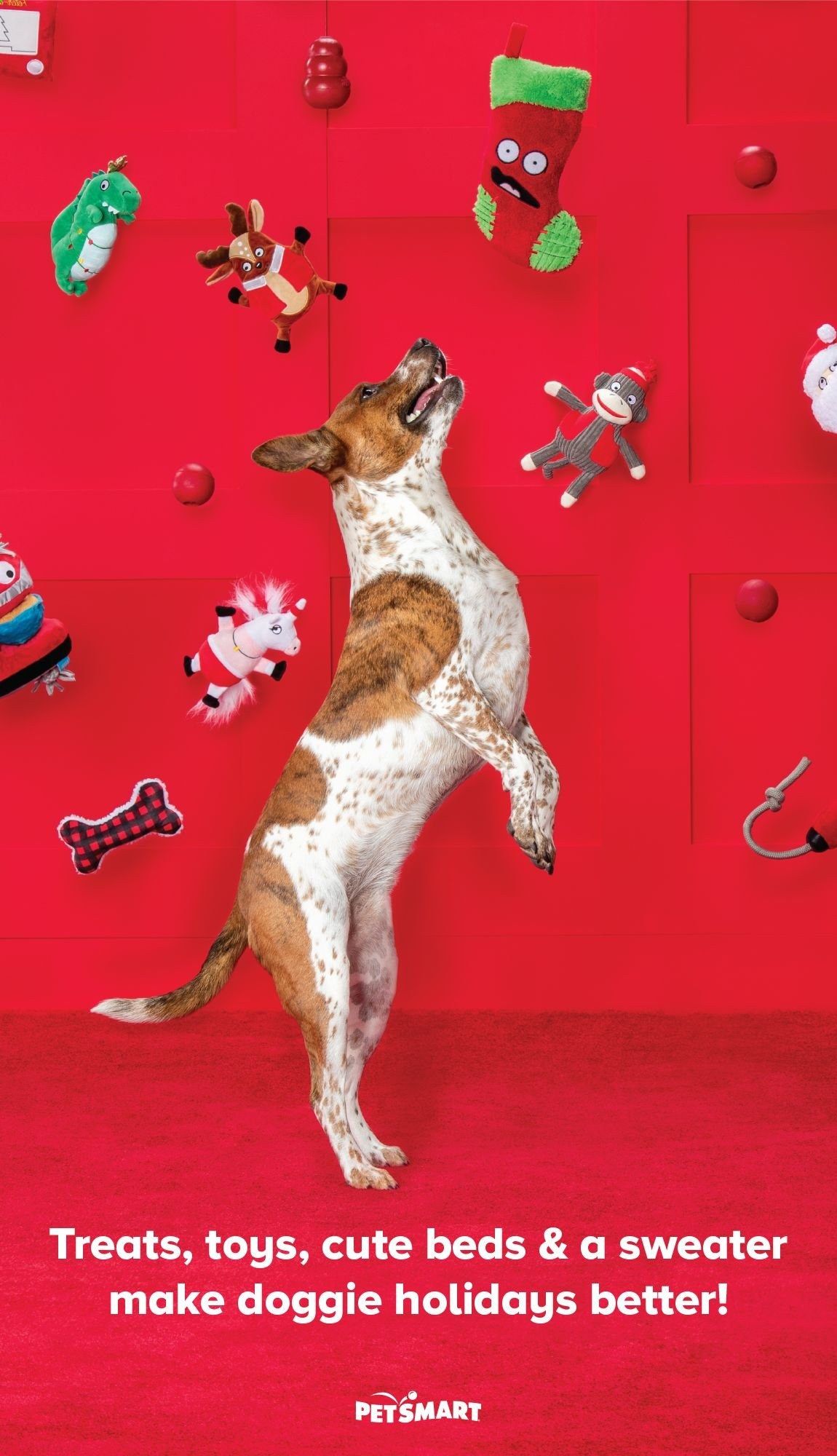 PetSmart Weekly Ad Flyer November 2 to December 27