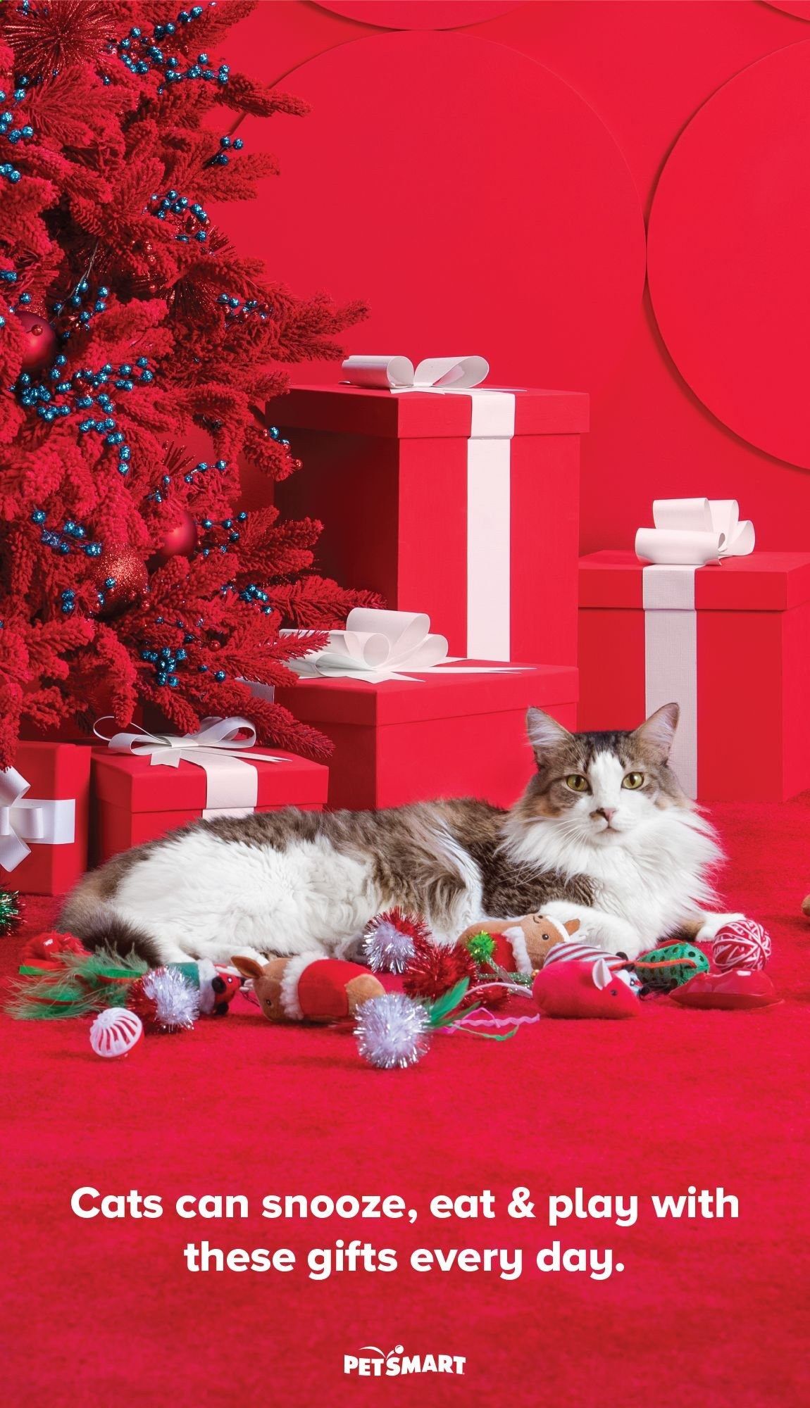 PetSmart Weekly Ad Flyer November 2 to December 27