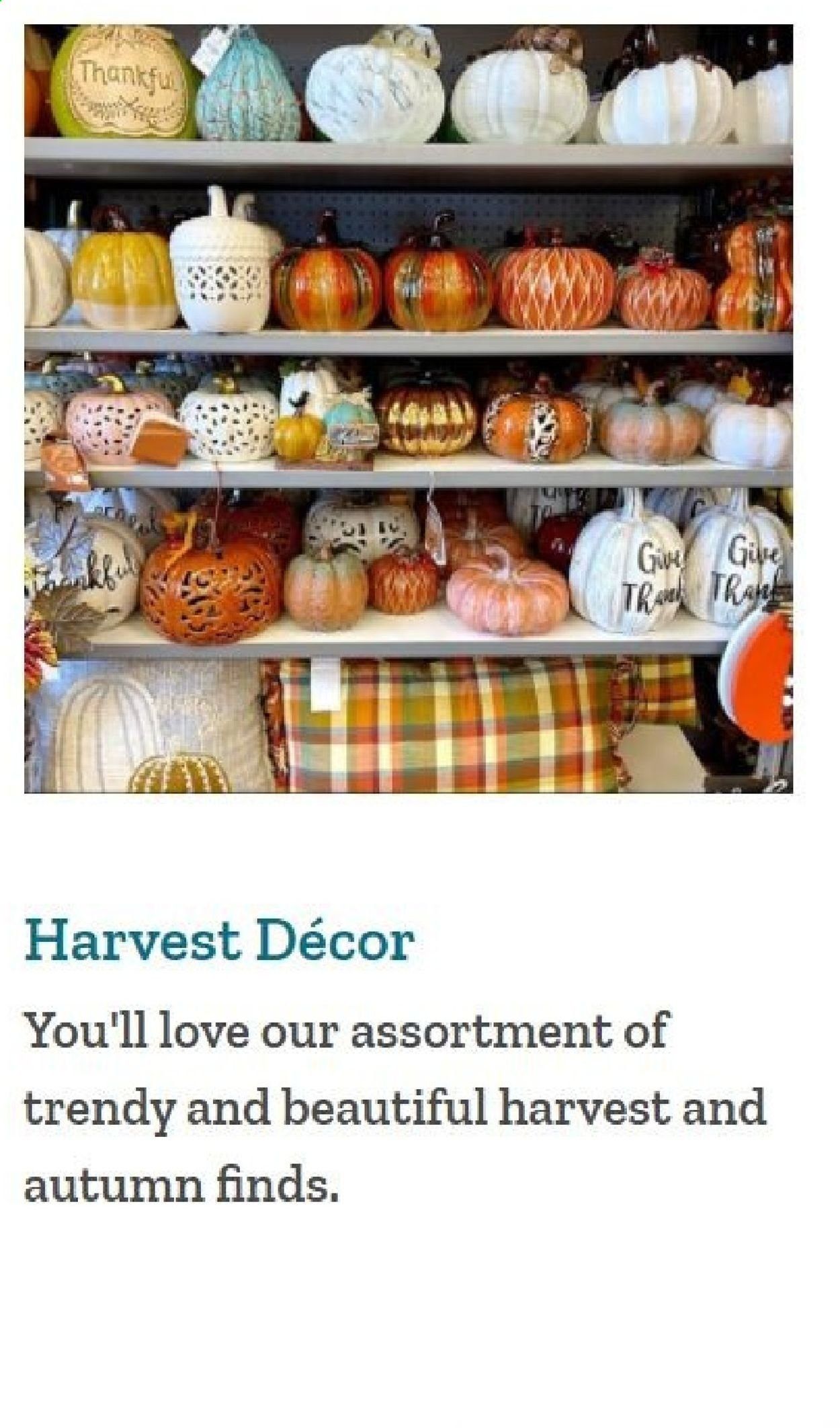 Tuesday Morning Weekly Ad Flyer November 5 to November 11