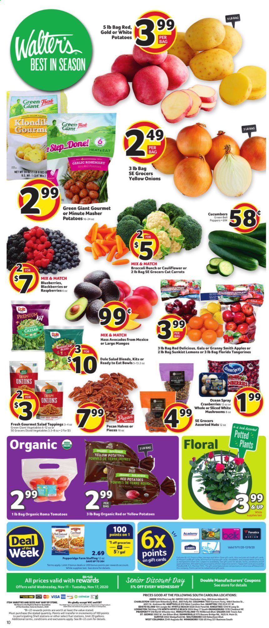 BI-LO Weekly Ad Flyer November 11 to November 17