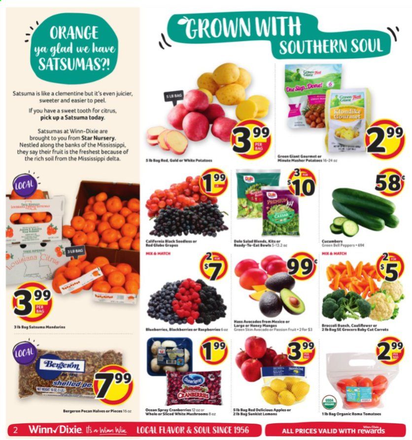 Winn Dixie (AL, FL, GA, LA, MS) Weekly Ad Flyer November 11 to November 17