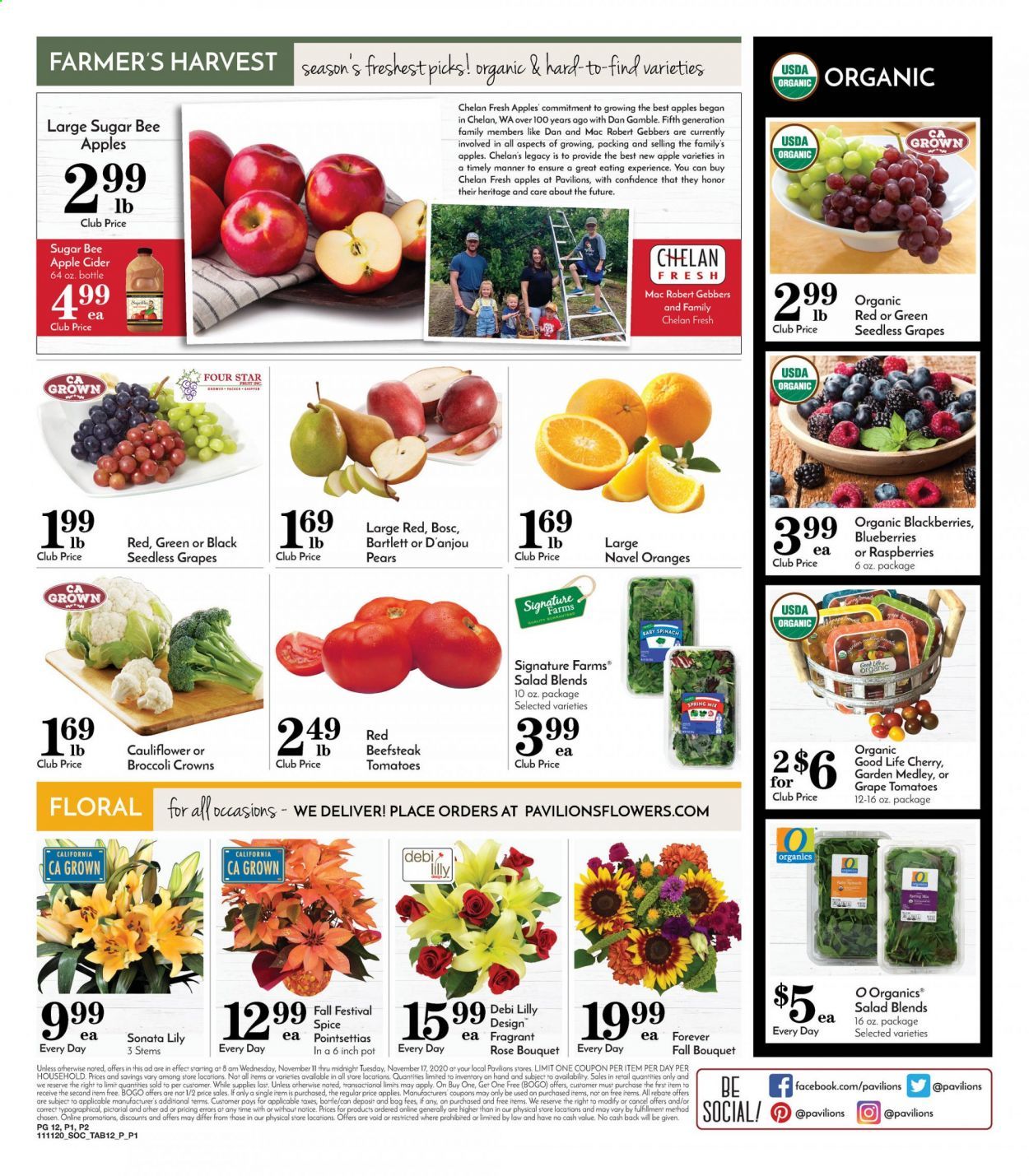 Pavilions (CA) Weekly Ad Flyer November 11 to November 17
