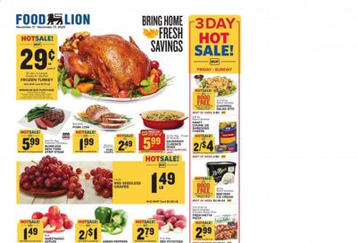 Food Lion (SC) Weekly Ad Flyer November 11 to November 17