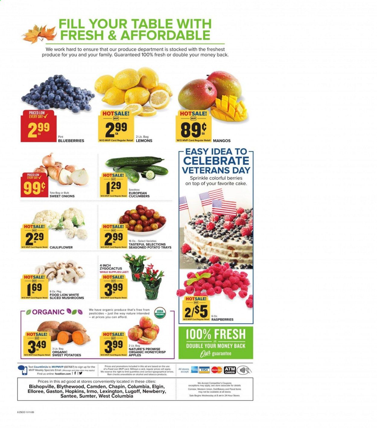 Food Lion (SC) Weekly Ad Flyer November 11 to November 17