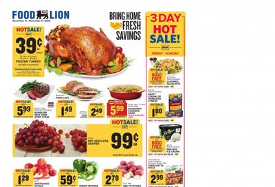 Food Lion (GA) Weekly Ad Flyer November 11 to November 17