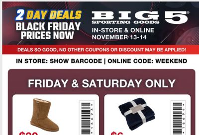 Big 5 Weekly Ad Flyer November 13 to November 14