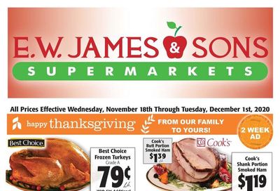 E.W. James & Sons Thanksgiving Weekly Ad Flyer November 18 to December 1, 2020