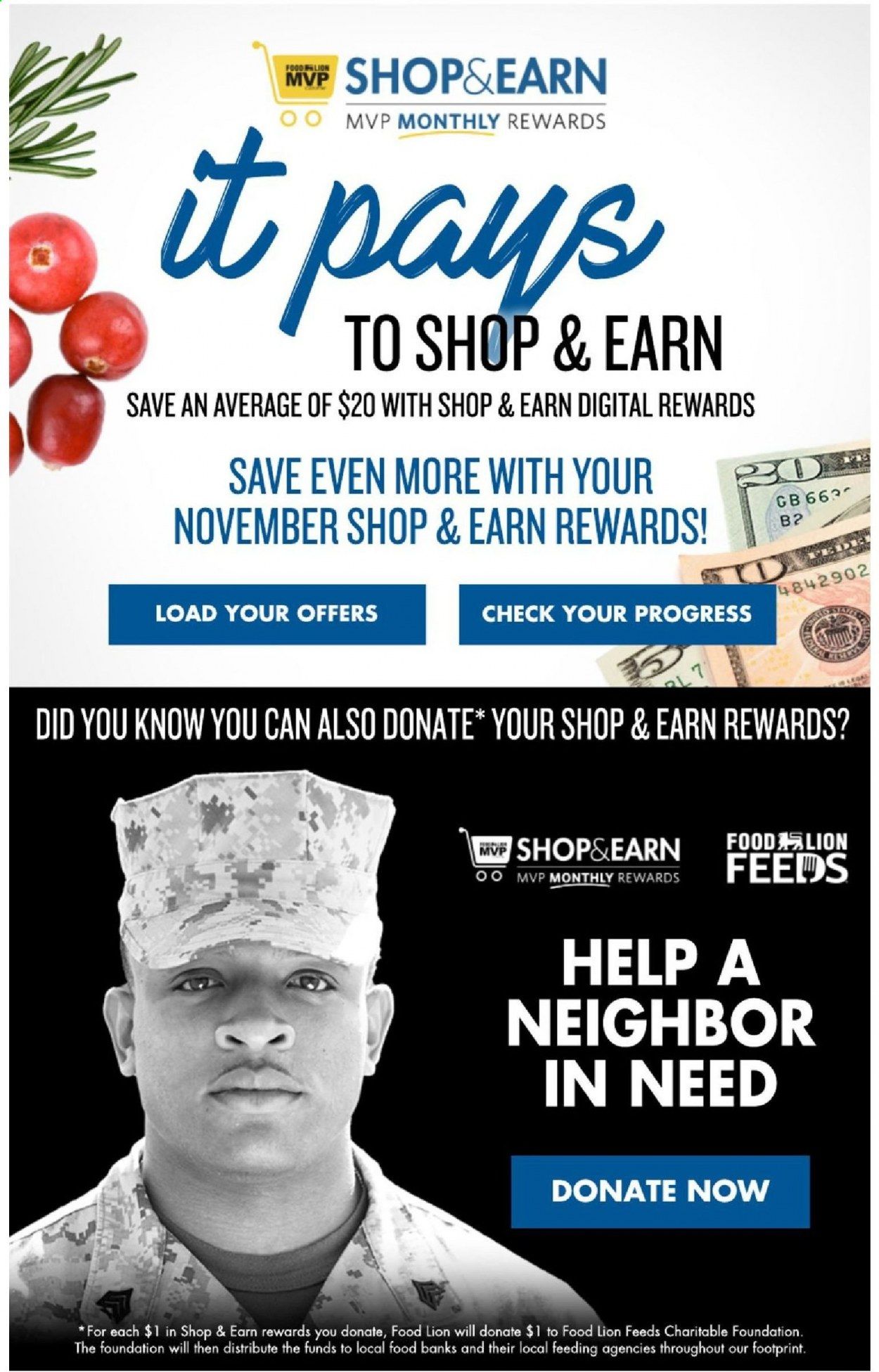 Food Lion (MD) Weekly Ad Flyer November 18 to November 26