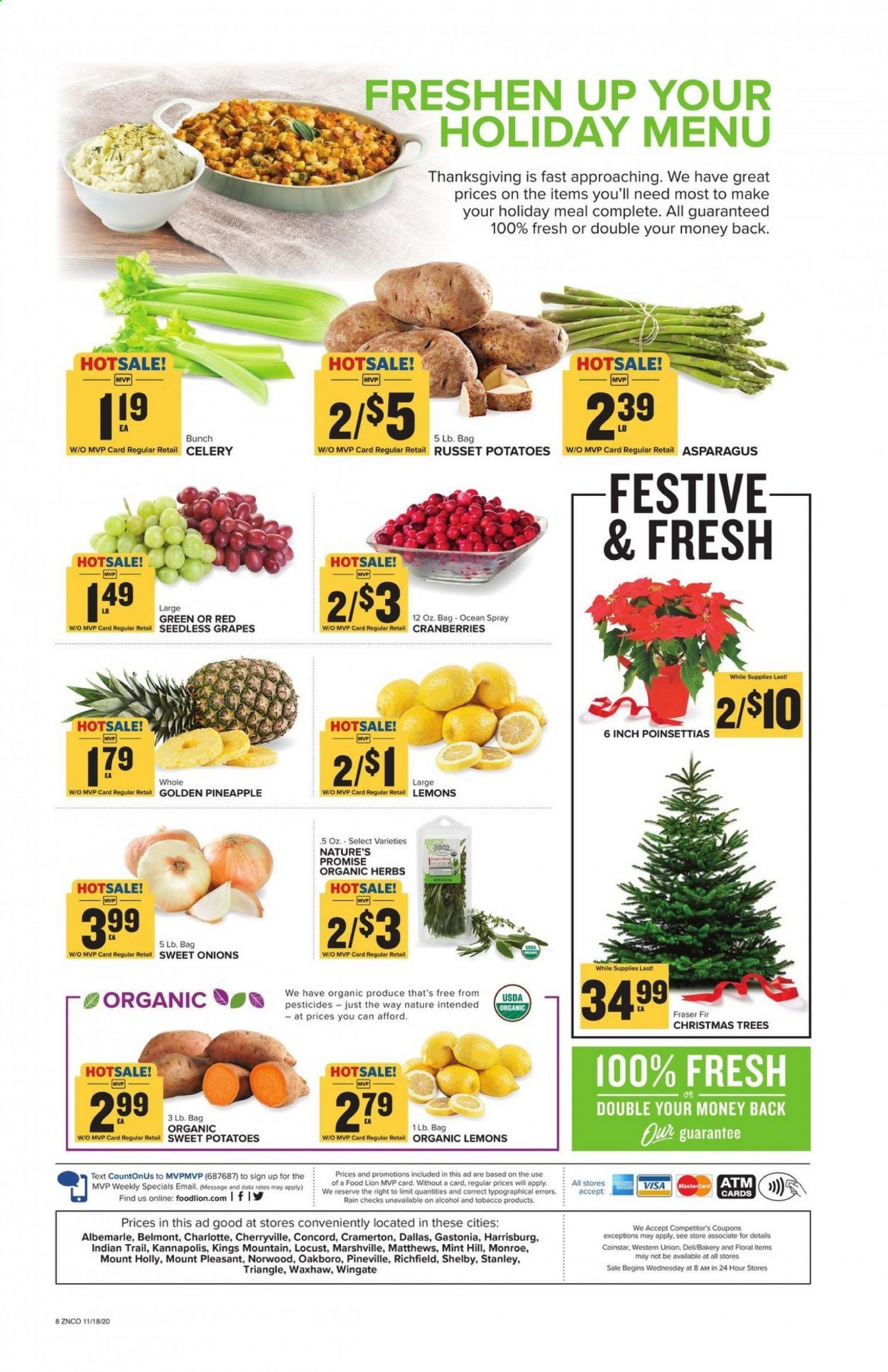 Food Lion (NC) Weekly Ad Flyer November 18 to November 26