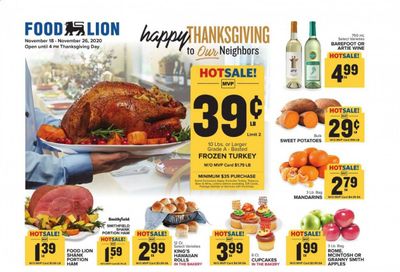 Food Lion (GA) Weekly Ad Flyer November 18 to November 26