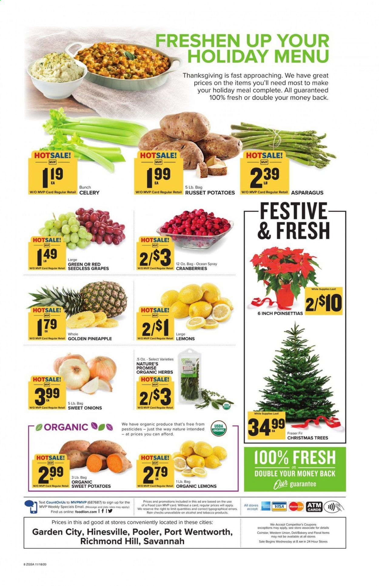 Food Lion (GA) Weekly Ad Flyer November 18 to November 26