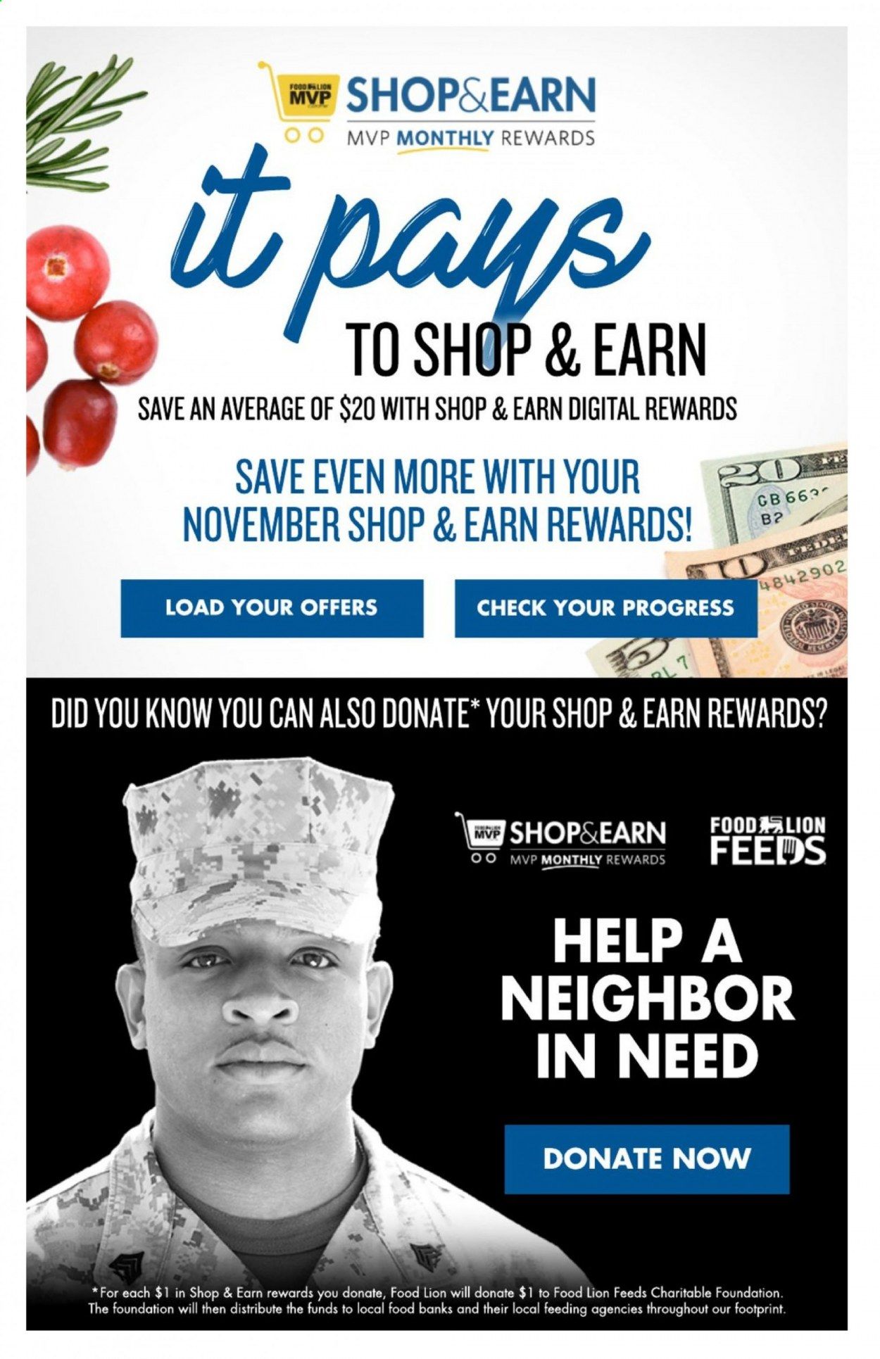 Food Lion (GA) Weekly Ad Flyer November 18 to November 26