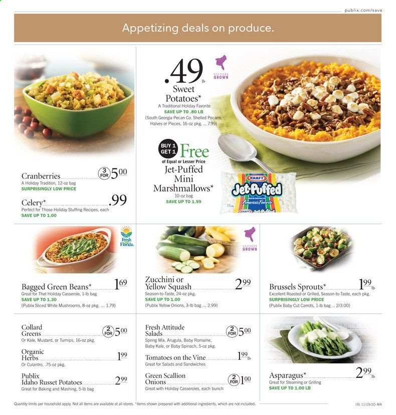 Publix (AL, FL, GA, NC, SC, TN, VA) Weekly Ad Flyer November 19 to November 25