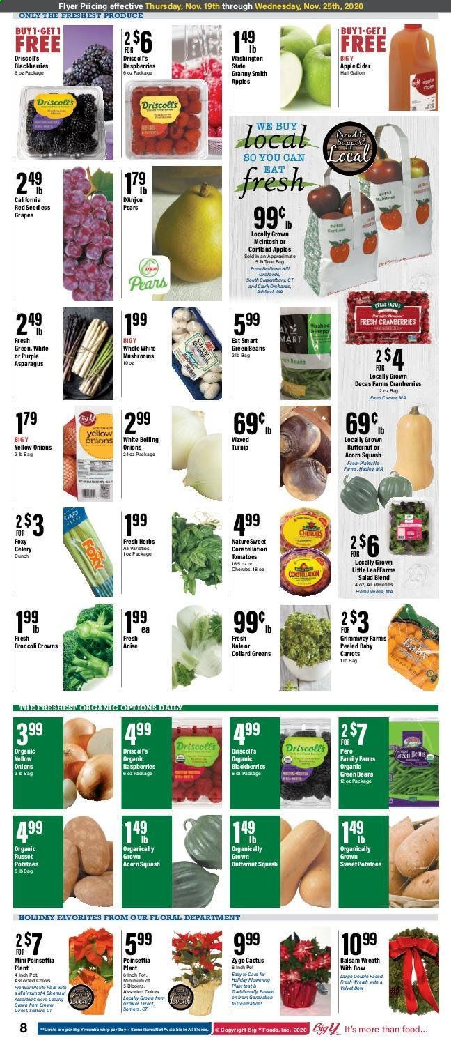 Big Y (CT) Weekly Ad Flyer November 19 to November 25