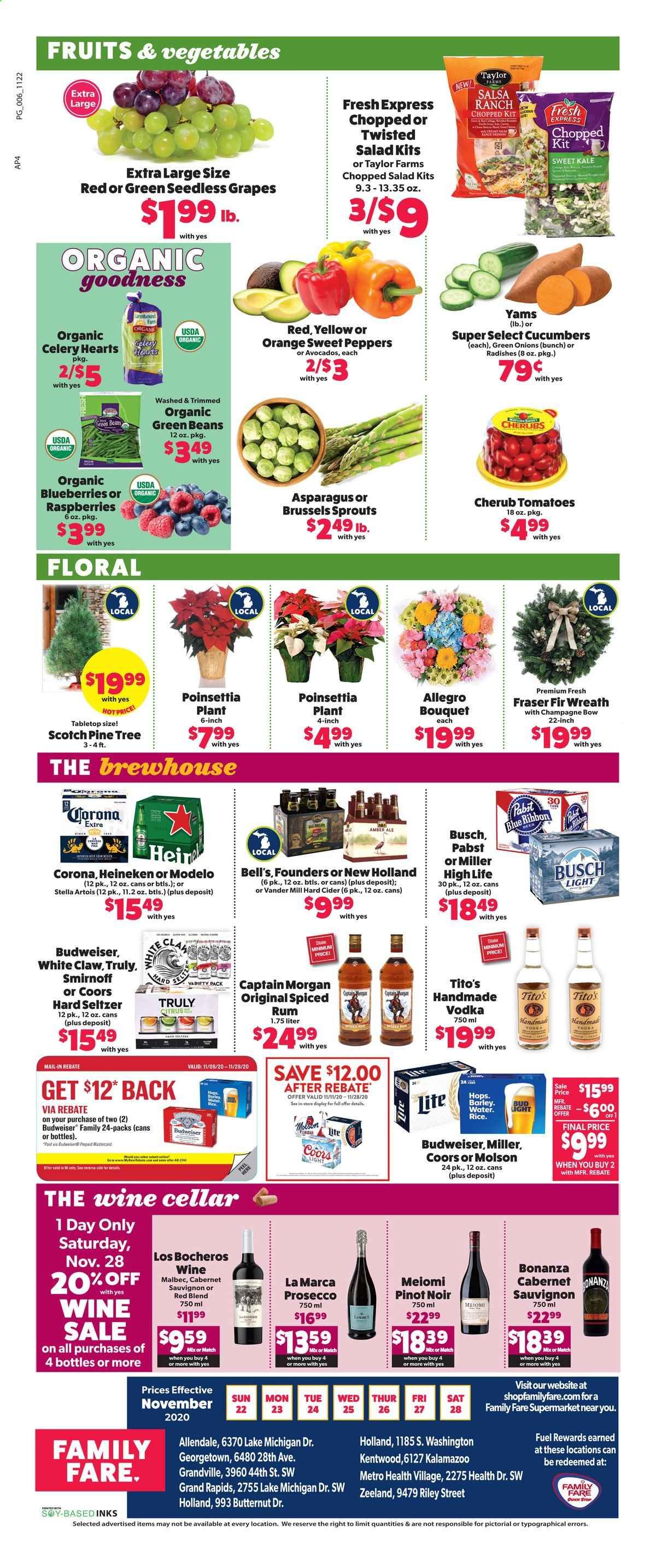 Family Fare Weekly Ad Flyer November 22 to November 28