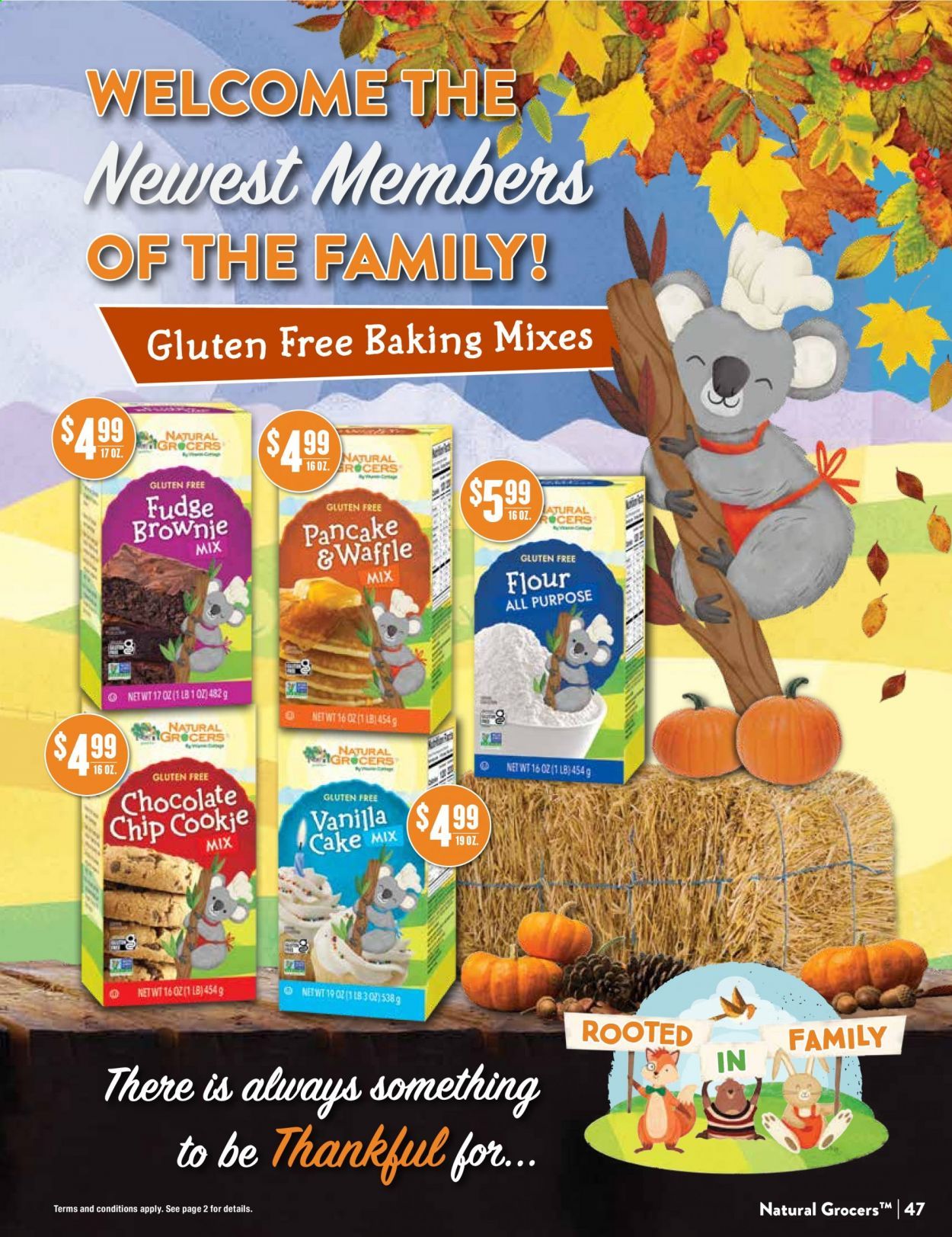 Natural Grocers Weekly Ad Flyer October 30 to November 28